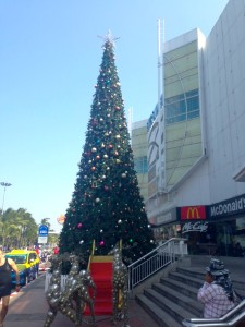 PattayaReisebericht Weihnachtsbaum