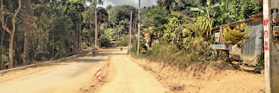 Dschungel Straße Koh Phangan Thailand