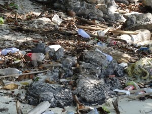 Abfall koh Phi Phi