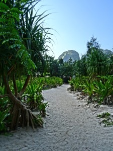 Backpacking Maya Bay Thailand