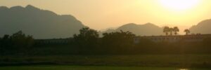 Backpacking Thailand Reisfeld Zugfahrt
