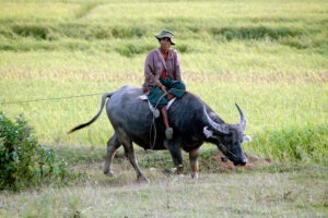 Mayanmar Kalaw Urlaub