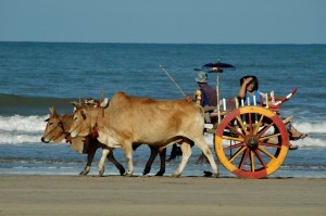 Myanmar Chaungtha Beach