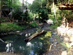 Koh Lanta Dschungel