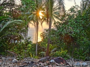 Weg zum Viewpoint Koh Phi Phi