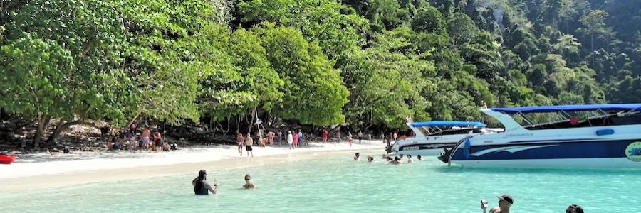 Monkey Beach Koh Phi Phi Don Strand