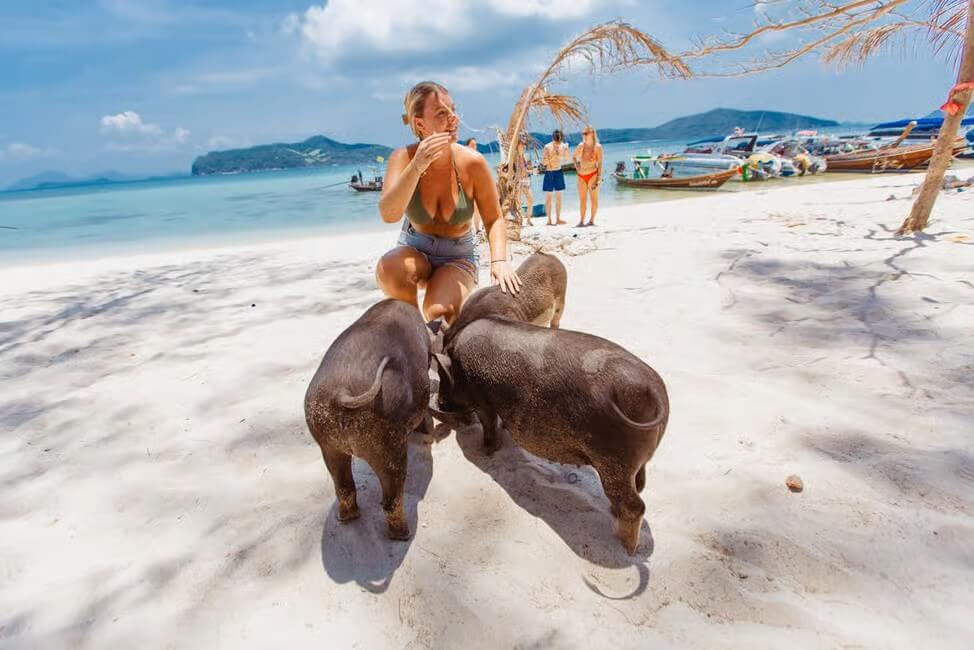 Koh Madsum Samui Schweineinsel Koh Madsum Samui Schweineinsel