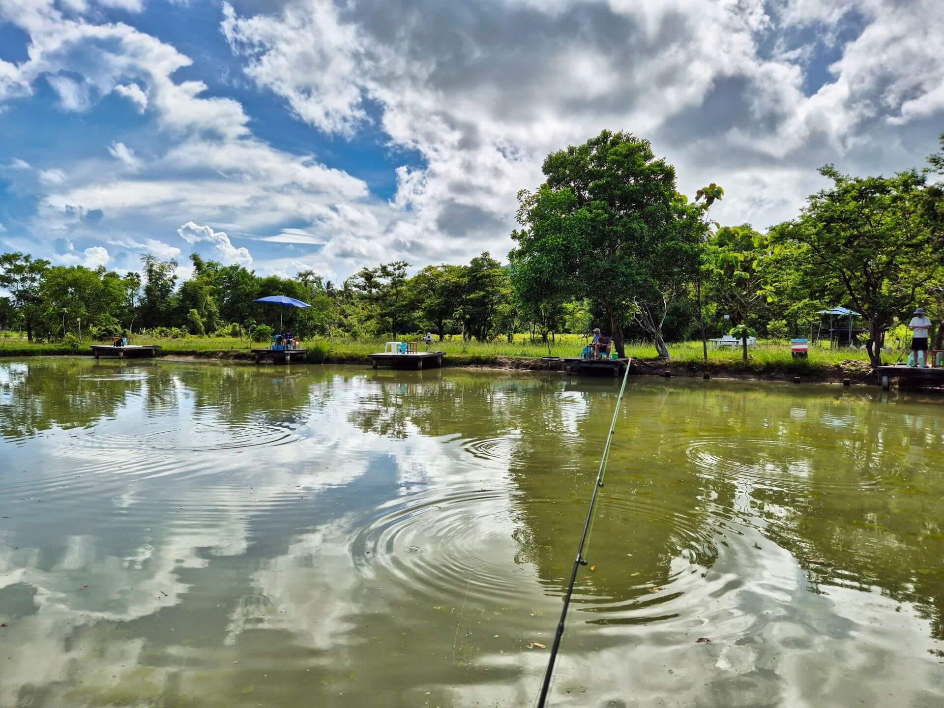 Koh Samui Fishing Pond Koh Samui Fishing Pond