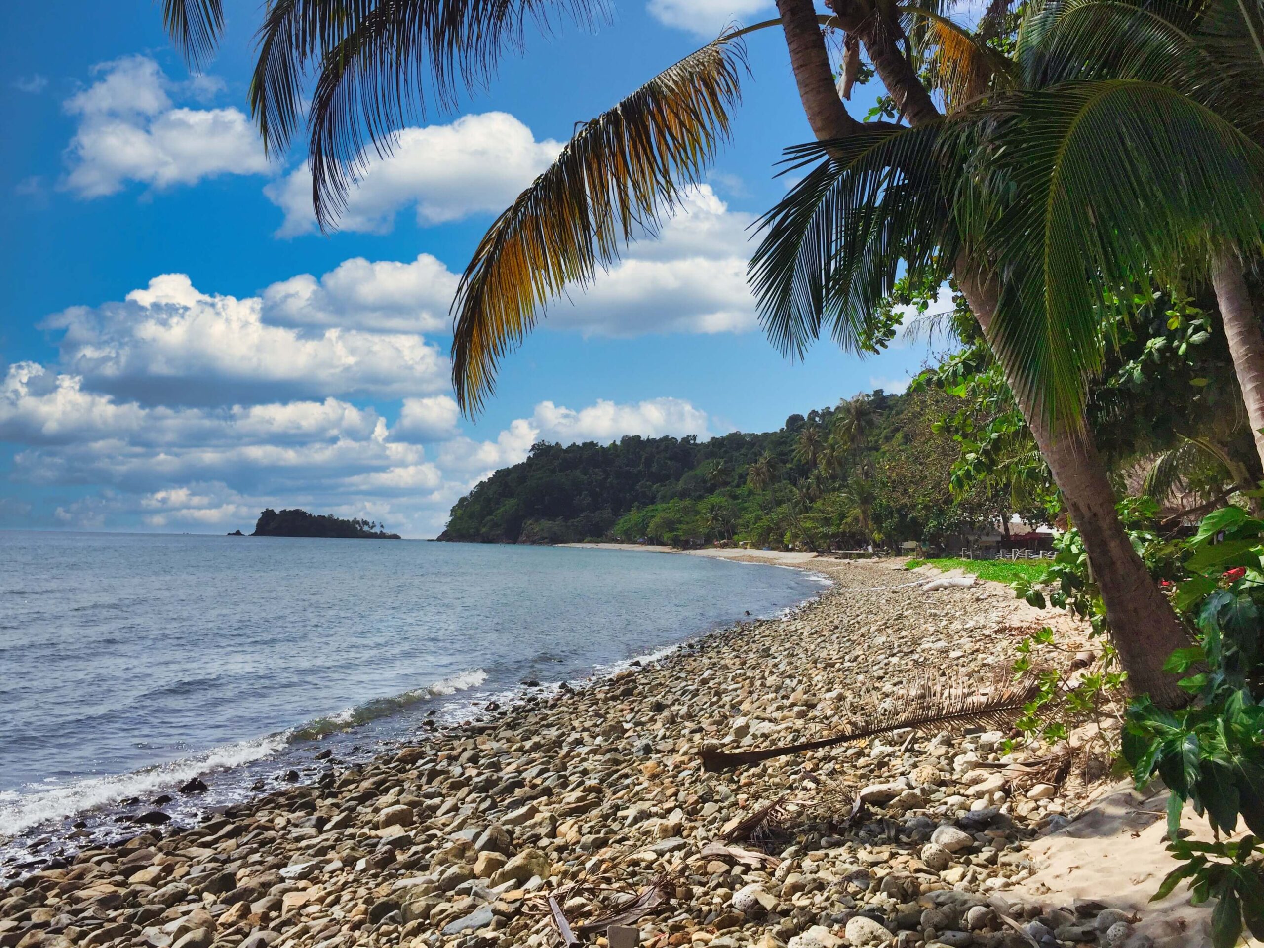 Lonely Beach Koh Chang Palmen