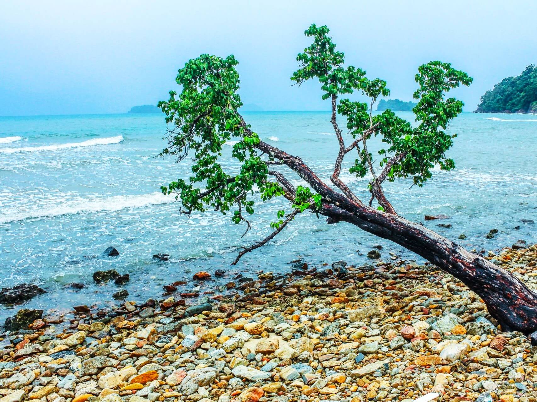 Pearl Beach Koh Chang