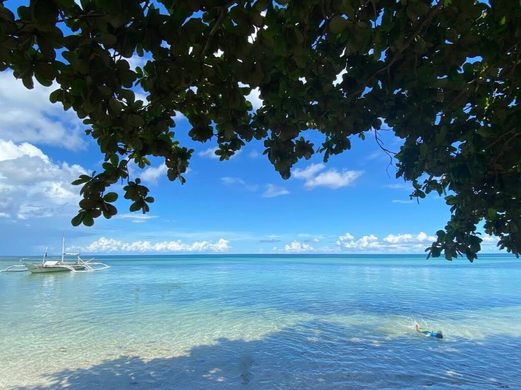 Turtles Nest Cebu Turtles Nest Cebu